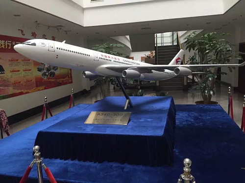 上?；顒訄?zhí)行